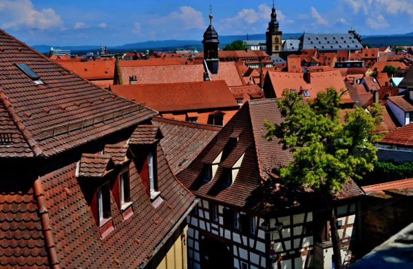 Blick über eine historische Altstadt mit roten Ziegeldächern, Fachwerkhäusern und engen Gassen. Kirchtürme ragen im Hintergrund auf, während ein Baum im Vordergrund Schatten spendet; der Himmel ist blau mit wenigen Wolken.